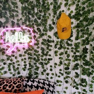 NBA Pacers baseball hat